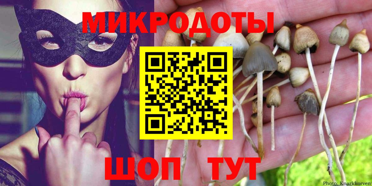 Улан-Удэ  Псилоцибиновые грибы прущие грибы  Вход с VPN 